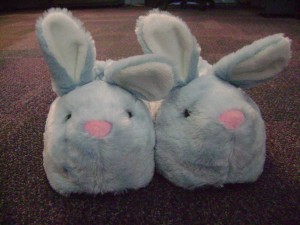 bunny slippers, iste 2016